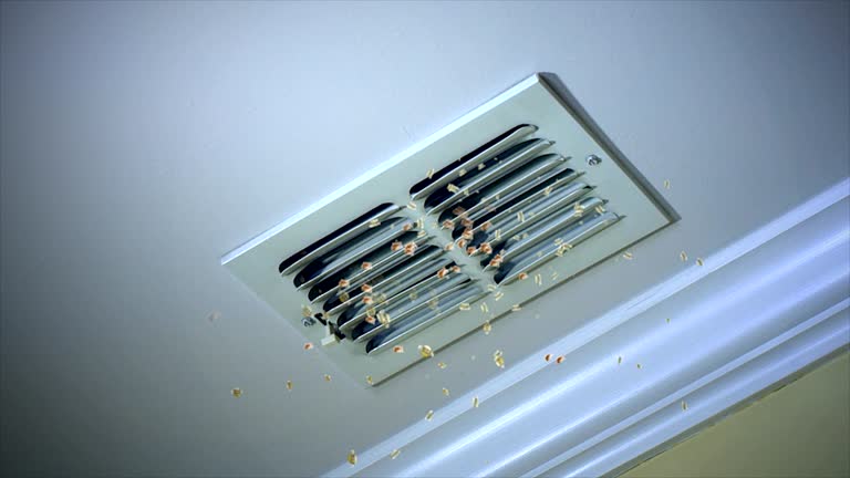 Best Best Air Duct Cleaning Company  in Hauppauge, NY